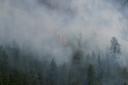 meriweather-fire-07292007-g-o-m.JPG