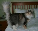 tenobia-2-yrs-10-mon-1.JPG