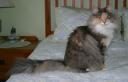 tenobia-2-yrs-10-mons-4.JPG