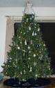 Christmas tree 2007