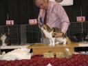 Danica & Wain Harding at show