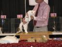 Liby & Wain Harding at show