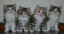 winter-gifts-7-wks-3.JPG
