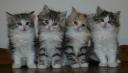 winter-gifts-7-wks-4.JPG