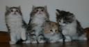 winter-gifts-7-wks-6.JPG