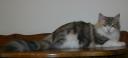 Don’t Take My Picture