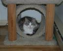 arianes-favorite-spot.JPG