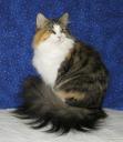 basia-in-chehalis-06152008-2.JPG