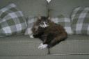 qoe-on-her-throne.JPG