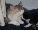a-kiss-for-my-brother.JPG