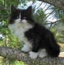 galia-7-weeks-2.JPG