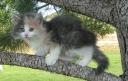 honeydew-7-weeks-2.JPG
