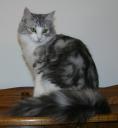 natane-wynter-7-months.JPG