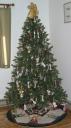 angel-christmas-tree-2008.jpg