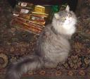 dsc00186-max-2008.jpg