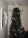 Find the cat ornament