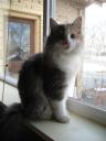honeydew-in-her-new-home-dec2008.JPG