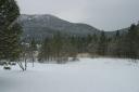 Let it snow!