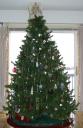 living-room-christmas-tree-2008.jpg