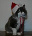 santa-galia.jpg