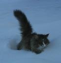 shira-snowcat-12262008-2.jpg