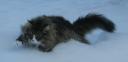 shira-snowcat-12262008-3.jpg