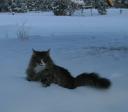 shira-snowcat-12262008.jpg