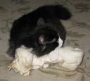 charlie-his-pillow.jpg
