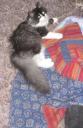 Galia & her quilt
