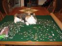 puzzle-buzz-1.jpg