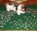 puzzle-buzz-2.jpg