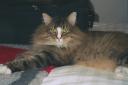 darby-02062009-2.jpg