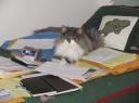 odin-kyrith-jan-2009-1-rs.jpg