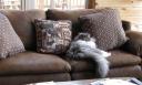 odin-kyrith-jan-2009-2-edited.jpg