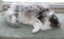 bug-napping-03072009.jpg