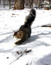 crens-first-snow_5.jpg