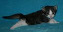allegra-3-weeks-1.jpg