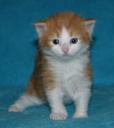 fayne-3-weeks-2.jpg