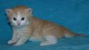 seely-3-weeks-2.jpg