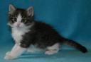 allegra-6-weeks-4.jpg