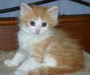 corliss-6-weeks-4.jpg