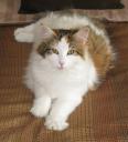 dawnflower-11-months-3.jpg