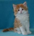 fayne-6-weeks-4.jpg