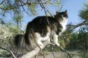 mama-basia-enjoys-spring-05212009.jpg