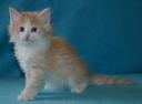 seely-6-weeks-1.jpg