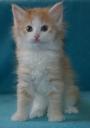 seely-6-weeks-2.jpg