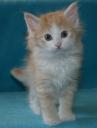 seely-6-weeks-4.jpg