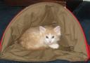 seely-in-the-bug-1.jpg
