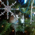 Christmas cat