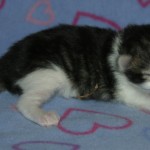 keefe 1 day 1
